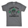 Mens Funny T Shirts Hairy Shamrocks Adult St Patricks Day Graphic Tee