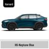 Haval H6 Cool Dog Touch-Up Pen, Black Spot & Ruixue White Scratch Repair Paint