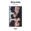 Stray Kids Ich bin KEINE offizielle Fotokarte