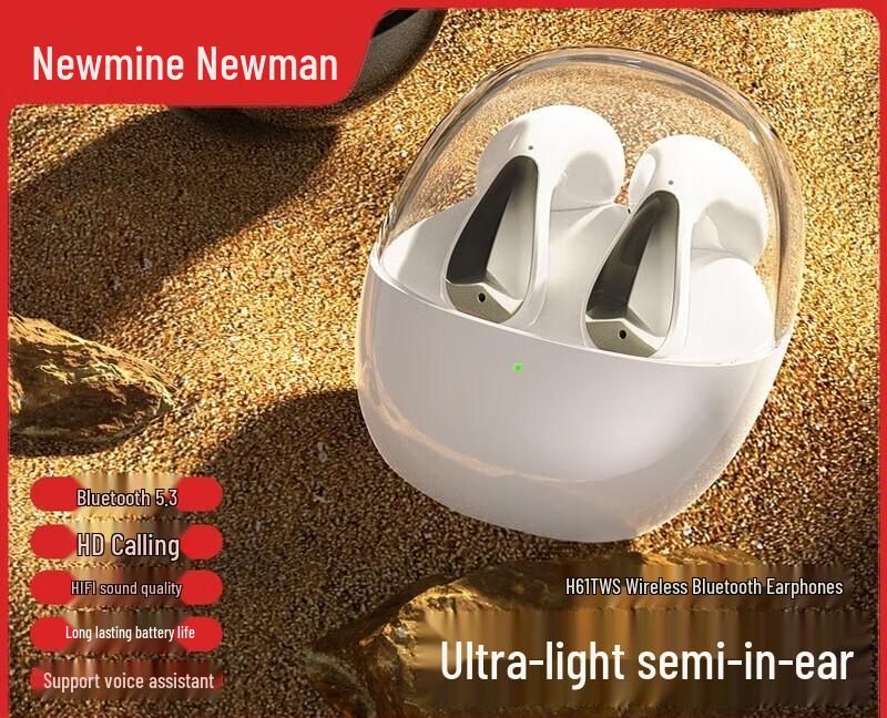 

Newmine H61 True Wireless Bluetooth Earbuds