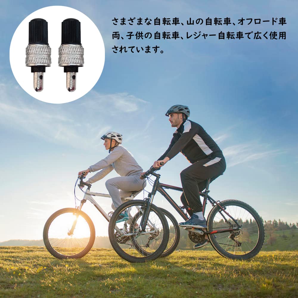 Miez de supapă de aer pentru bicicletă Samcos Set de 10 supape Nu este necesară cauciucul pentru insecte Rezistent la căldură Rezistent la îngheț Pompă de aer ușoară Asistență pentru bicicletă ușor de înlocuit