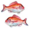 Ultra-Realistic Life-Sized Red Sea Bream Plush Toy Cushion 80cm Jigging Figure Toy Fish Display