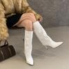 European and American Long Knight Boots Women's High-heeled Trouser Boots Autumn and Winter Thin Fashion Pointed Hot Girls But Knee Thin Heel Boots