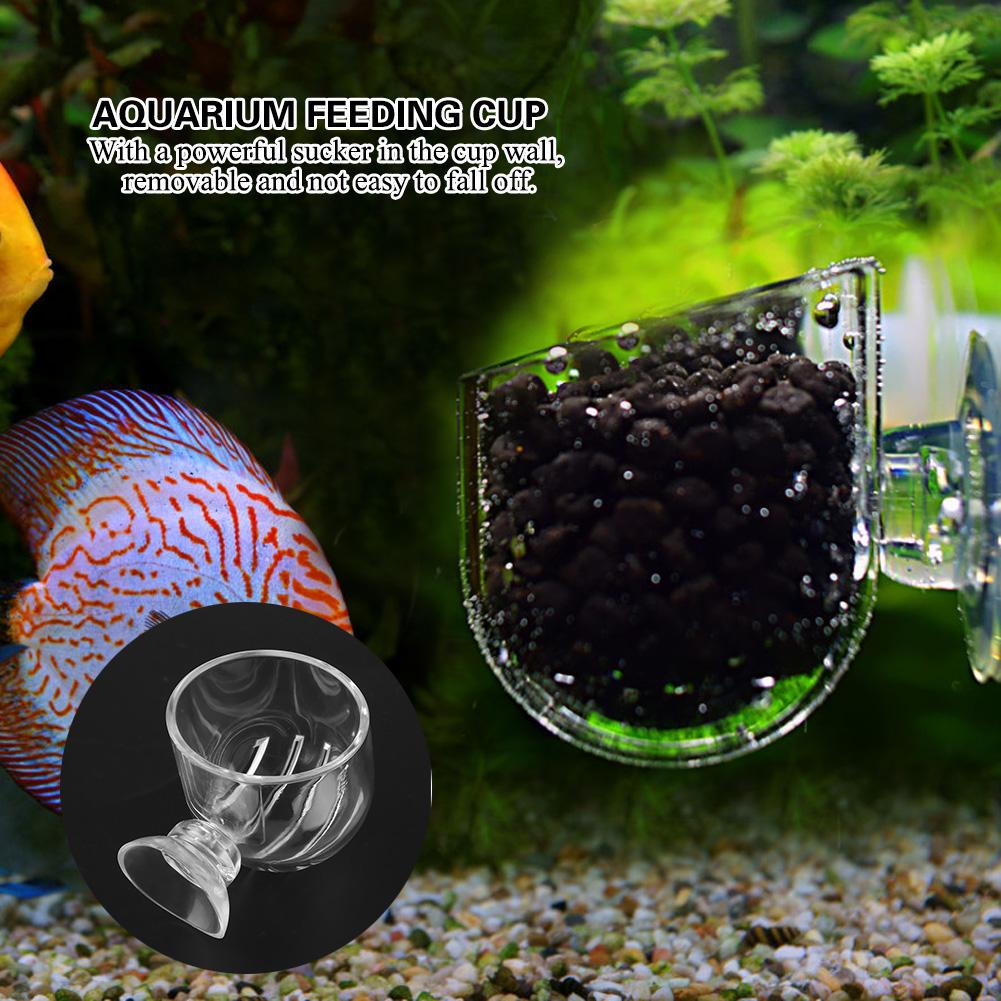 Transpatent Acrylic Feeding Cup Fish Red Worm Feeder Cups for Aquarium