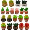 Pinenjoy 20 Pieces Miniature Cactus Plant Cute Succulent Soothing Garden Succulent Resin Garden Decorative Spirit Dollhouse Miscellaneous Green