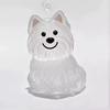 Dog Hair Storage Box Keyring Puppy Hair Memorial Keepsake Capsule Pet's Dog Fur Container Transparent Capsule Keychain Souvenirs