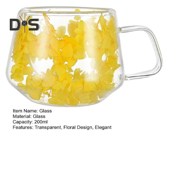 200ML Clear Glass Mug Double Wall Insulated Cup with Handle Aesthetic Dehydrated Flower Design Heat Preserving Tumbler for Coffee Tea