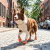 Breathable Dog Mesh Shoes Soft Summer Dog Shoes Anti Slip Dog Shoes for 4PCS/SET Spring Summer