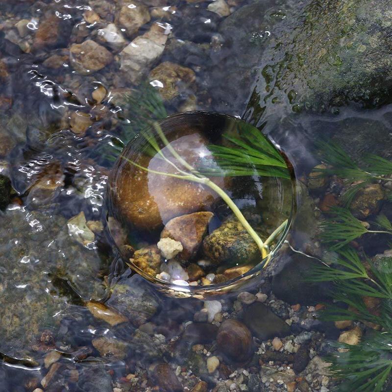 ZISIZ Acrylic Paperweight Magnifier