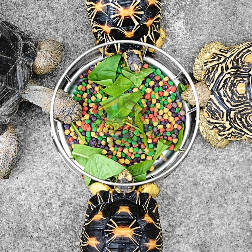 Smooth Edge Reptile Food Bowl Dual-Purpose Pet Water Dish Durable Water Turtle Dish Reptile Pets