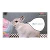 Mini Animan Rabbit Toy Big Soft Ball