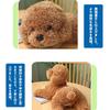 [HarFar] Toy Poodle Plush - Realistic, Lifelike, 48cmKhaki, cuddly, soothing plush dog pillow. Cute toy poodle doll for snuggling,