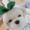 Katze Haustierkleidung für Herbst und Winter, Welpen, Teddykatzen, Fleece-Mützen, Hunde-Hoodies, Verdickt und warm