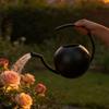 Watering Can, 1000ml Stainless Steel Indoor Plant Watering Pot with Comfortable Handle and   Spout, for   Garden Decor