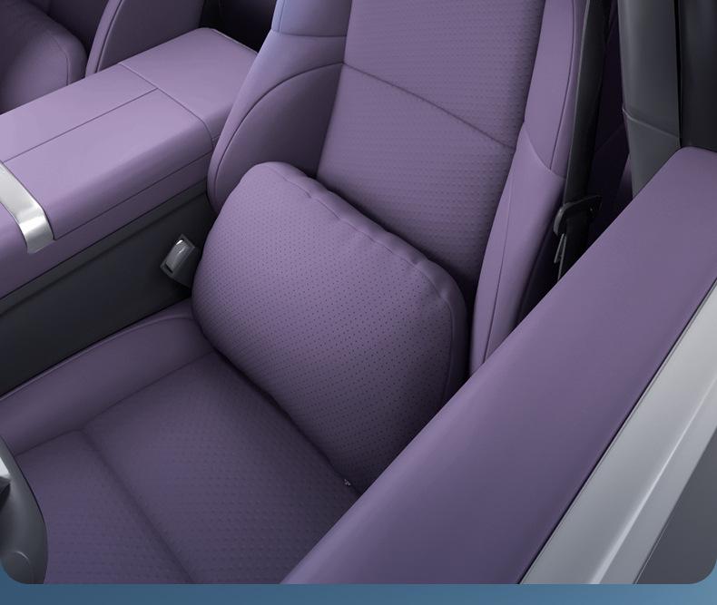 Essential Car Interior Accessories Set for Zero Run Lafa5: Headrest & Lumbar Support with Neck & Waist Protection