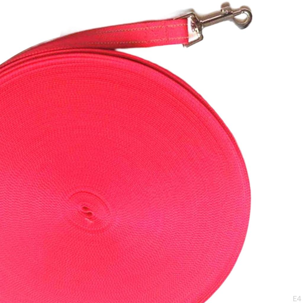 Dog Leash, Pet Rope, Supplies for Playing Camping Jogging