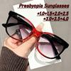 New Fashionable Presbyopia Sunglasses Unisex Large-Frame Spring-Arm High-Definition Reading Glasses Diopter +1.0 To +4.0