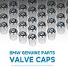 T114Pcs Racing Style Aluminum Alloy Car Tire Valve Caps Metal Wheel Rim Tyre Stem Decor Protective Cover Accessories For BMW X3 X5