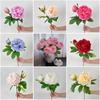 2 Heads Multicolor Lifelike Flowers Peony Bridal Bouquets Artificial Flower Peony  Party Supplies