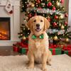 Festive Christmas Pet Bow Tie Dog Collar with Bowknot Holiday Accessory for Dogs Perfect for Parties and Special Occasions