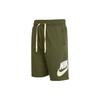 Nike Casual Shorts Men's Green Moderate DM6818-326