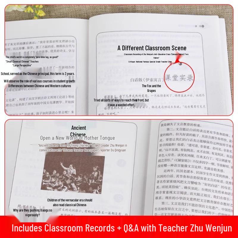 100 Classical Chinese Lessons for Primary Students: Zhu Wenjun Edition, Vols 1 & 2 - Reading Training