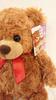 [USED] Teddy Bear Teddybear Stuffed Toy