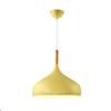 Nordic Colored Chandelier Wooden Pendant Light Bedroom Living Room LED Lamp Single Head Aluminum Children Room Lighting Fixture