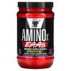 AminoX, EAAs, Muscle Support & Recovery, Watermelon Smash, 13.2 Oz (375 G)