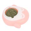 Catnip Wall Ball Rotatable Teeth Cleaning Interactive Cute Adhesive Cat Licking Ball for Indoor