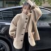 Niche design medium and long stand-up collar plush jacket, new warm top for women in autumn and winter