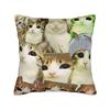 Funny Smiling Meowl Cat (2) Pillow Case Morden Pillow Cover Design Pillowcases For Sofa Bedroom Home Decor