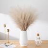 1/10pcs Faux Pampas Grass 18.5inch Artificial Pompous Grass Floral Fake Pompas Grass Branches Vase Filler DIY Flower Arrangement