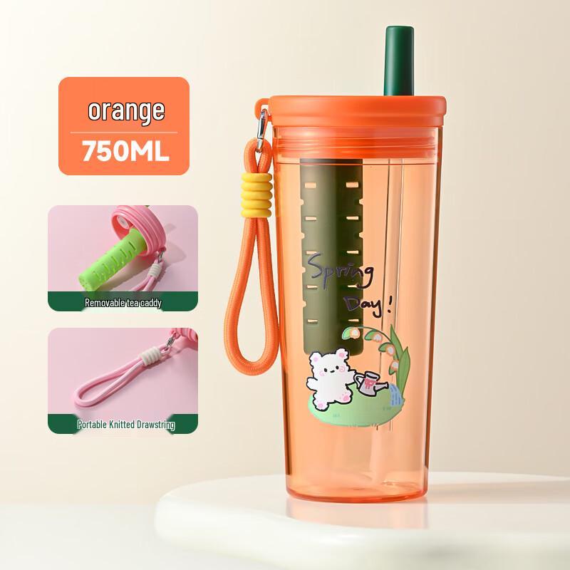 Creative Cartoon PC Plastic Water Bottle with Straw and Tea Infuser
