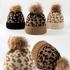Leopard-print Knitted Wool Cap for W/Pompon Women Beanie Outdoor Casual Winter H