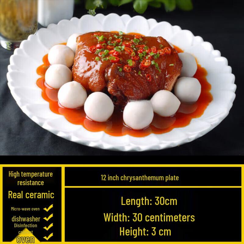 

Youshaxia Ceramic Dinner Plate