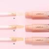 Eyes Face Concealer Tekutý krycí krém na tmavé kruhy Akné Přírodní Face Makeup Base Podkladový krém Kosmetika XYZ