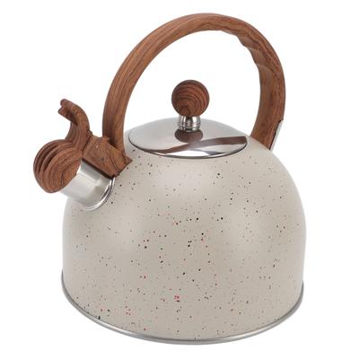 Whistling Kettle 2.5L Capacity Stainless Steel Stovetop Teapot for Water Boiling