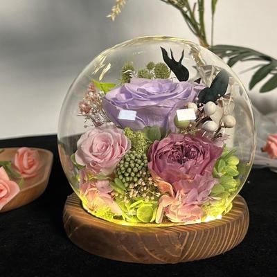 Mothers Day Gift Preserved Flowers Long Term with Light Carnation Women Gifts for