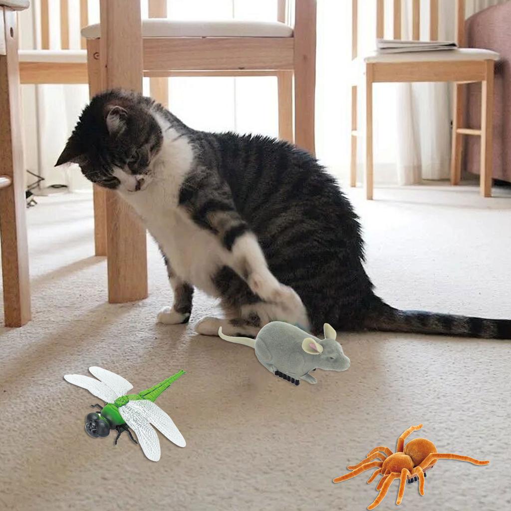 Cats Automatic Toy Cats Interactive Toy Teasing Mouse Fun Exercise Toy for Indoor Felines Play Exercise Toy