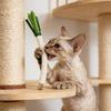 Kedi – Kedi Oyuncakları