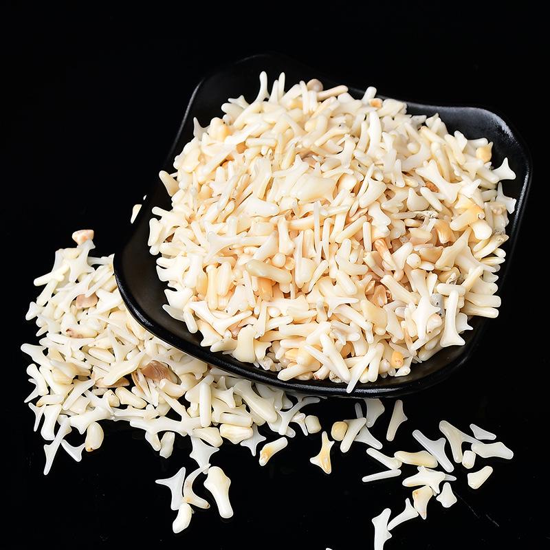 South China Sea White Coral Gravel: Aromatherapy Stone, Diffuser, Fish Tank & Flower Pot Decor, Buddha Offering & Demagnetizing Stone