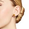 1 Pair Women Ear Retro Smooth Geometric Shape Amber Studs Lightweight Ear Jewelry Lady