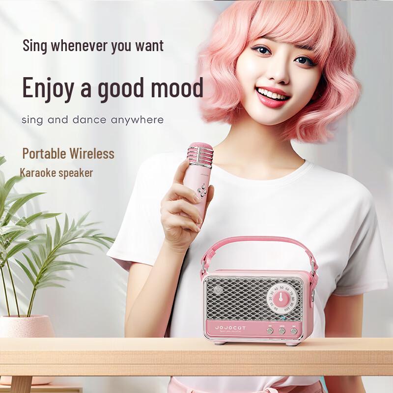 Wanwu C18 Retro Wireless Karaoke Bluetooth Speaker