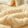 Vintage Double Layer Bed Blanket Plush Fleece Taffeta Velvet All Season Comfort Machine Washable Milk Velvet Soft Thick
