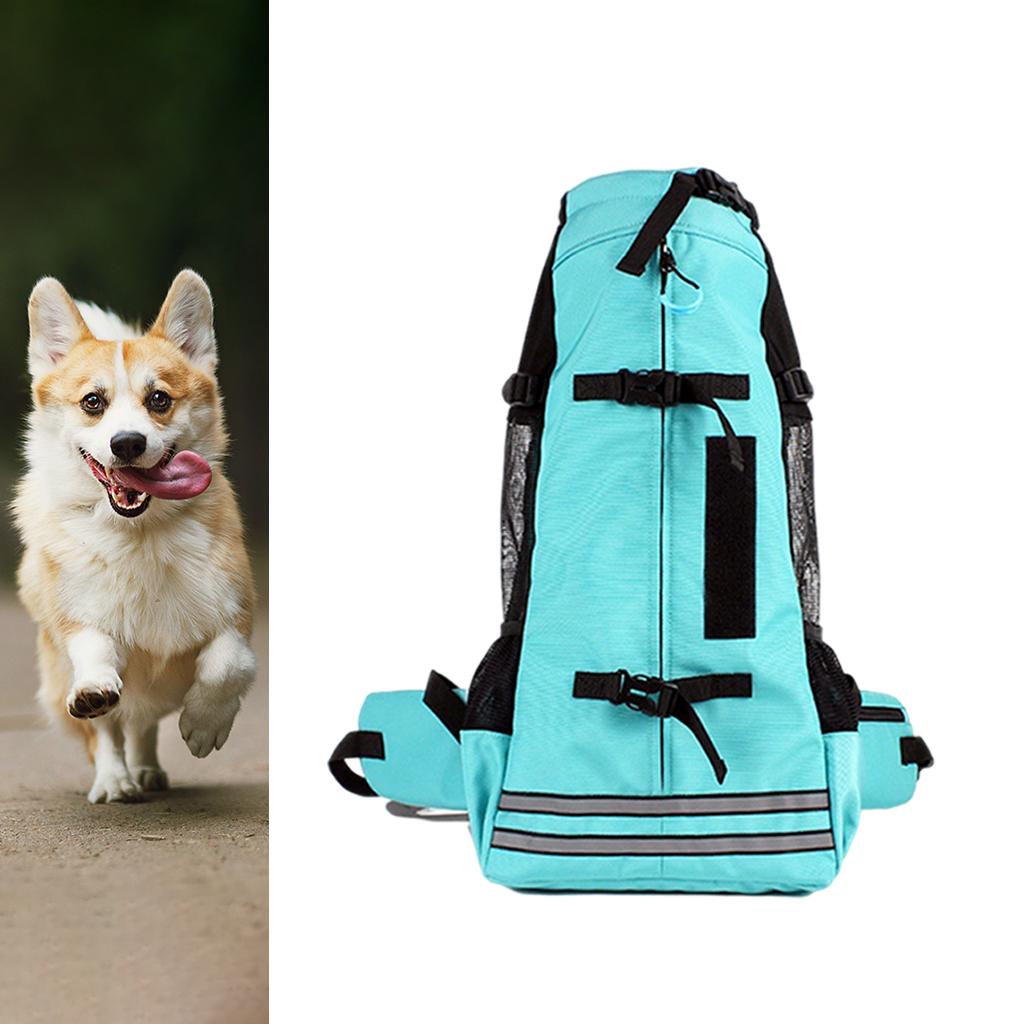 backpack for corgi