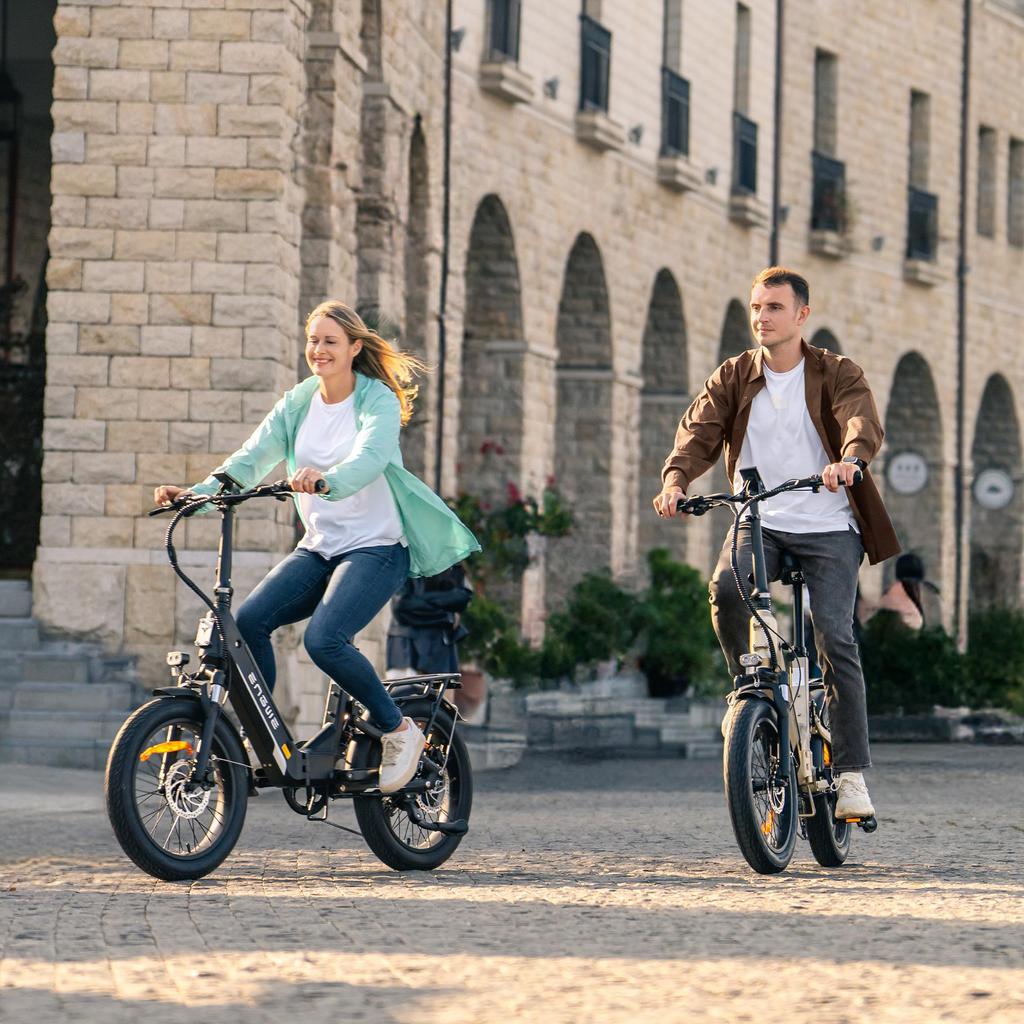 Engwe L20 3.0 Boost E-bike: 250W Hub Motor-Driven, 648Wh Battery-Empowered for 135km Journeys, Paired with Shimano 7-speed and Full Suspension