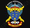 Bosnien Herzegowina Agt Kanaren UN Spanische Armee T-Shirt 100% Baumwolle Rundhals Sommer Kurzarm Freizeit Herren T-Shirt Größe S3XL