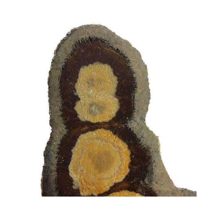 Pierres et Minéraux. Marcasite + Baryte. 593.0 ct. Lubin District, Lower Silesia, Pologne.