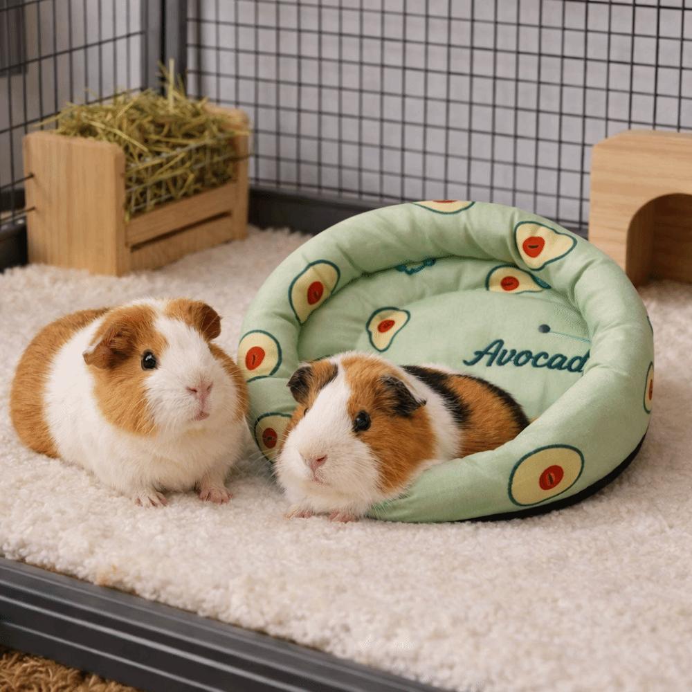 Round Hamster Nest Mat Breathable Ice Silk Pad Cooling Hamster Bed Comfortable Fruit Pattern Guinea Pig Bed